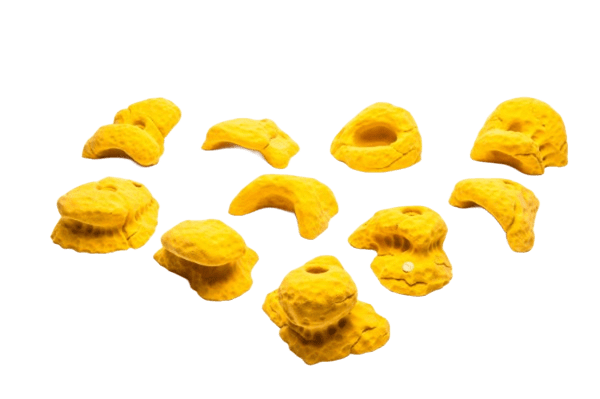 CWL.01.02 Limestone mushrooms